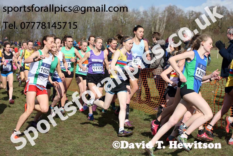 Senior womens 2019 British Athletics Inter Counties Cross Country, Prestwood Hall, Loughborough. Photo:  David T. Hewitson/Sports for All Pics